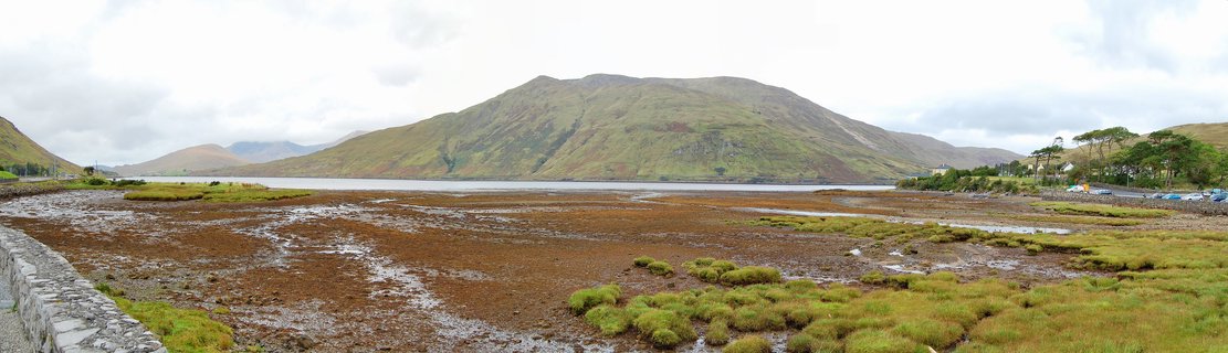 Panoramic view of a tidal marsh with brown seaweed and green grass patches in the foreground, a stone wall on the left, and a large green mountain rising behind calm water under cloudy skies in Connemara, Ireland