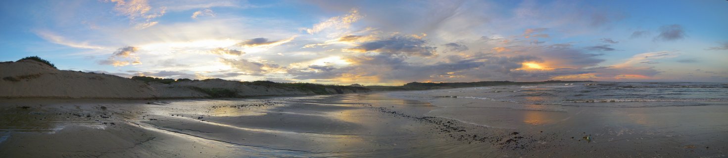 Panoramic beach landscape showing sand dunes with vegetation on the left, wet sand with sky reflections in the center, and ocean waves on the right under a cloudy golden-hour sky