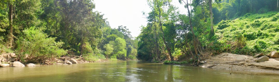 A calm tropical river flowing through dense green rainforest with trees and vegetation on both banks in Chiang Mai, Thailand