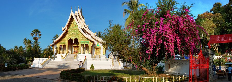 Traditional Lao Buddhist temple with golden decorative facade, white base, and multi-tiered roof under blue sky with pink flowering tree in foreground