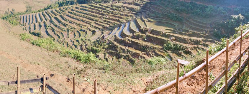 Aerial view of stepped rice terraces carved into rolling hillsides with a bamboo fence in the foreground, Sapa region, Vietnam