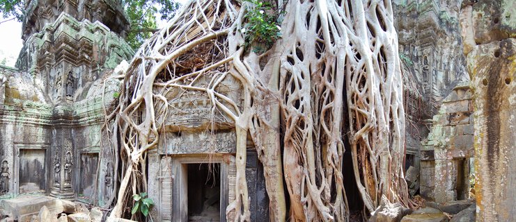 Ancient sandstone temple doorway at Ta Prohm in Cambodia, partially enveloped by massive pale tree roots from a silk-cotton tree, with visible bas-relief carvings of devata figures on weathered stone walls covered in moss and lichen