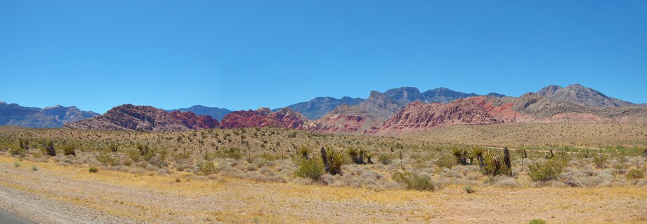 Desert landscape showing red rock mountain formations in the distance with Joshua trees and shrubs in the foreground under clear blue sky