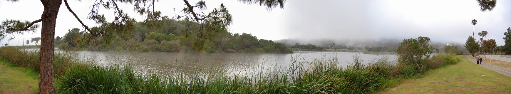 Wide landscape view of a calm lagoon surrounded by tall green reeds and trees with thick fog in the background and two people walking on a paved path along the right side