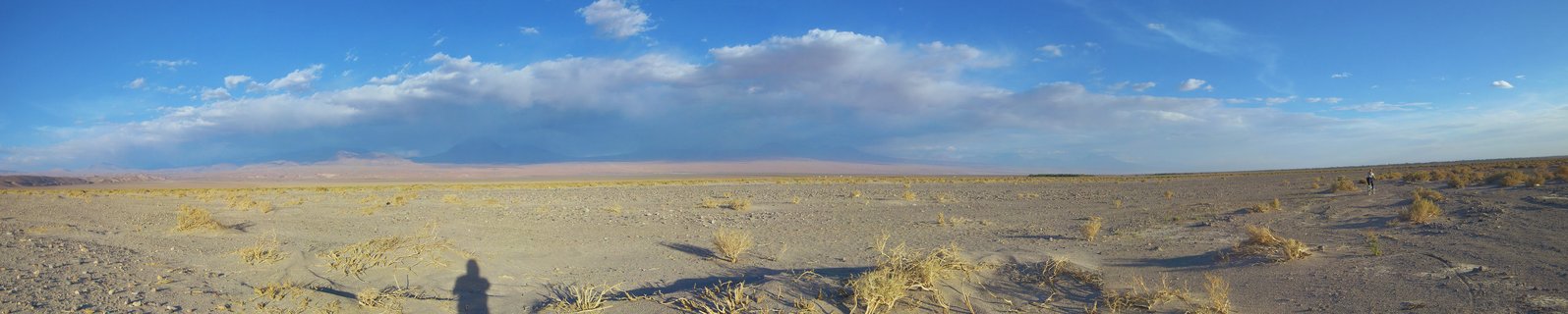 Wide desert landscape showing the Atacama Desert in Chile with dry ground, scattered yellow grasses, distant mountains, blue sky with white clouds, and a small cyclist visible on the right