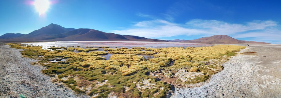 Wide landscape showing pink-tinted lagoon water, yellow-green marsh vegetation in foreground, brown volcanic mountains in background under bright blue sky with sun visible