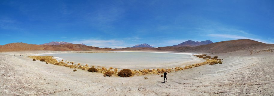 Wide panoramic landscape showing a white salt lagoon surrounded by brown desert terrain with scattered golden bushes, one person standing in foreground, mountains in background under blue sky