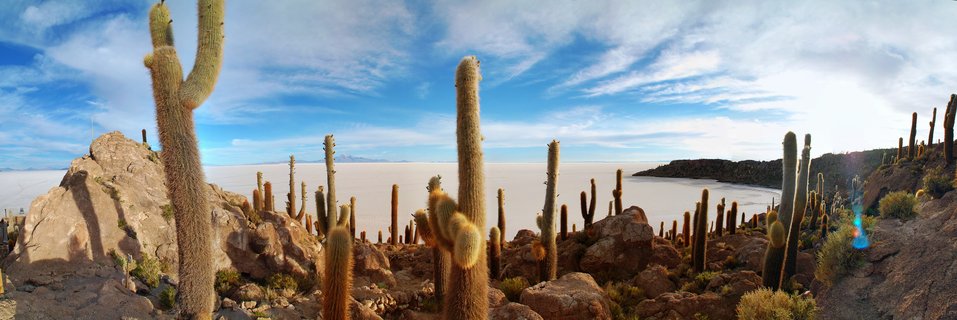 Panoramic view of giant columnar cacti on rocky volcanic Isla Incahuasi with white Salar de Uyuni salt flats stretching to distant mountains under blue sky with wispy clouds, Bolivia