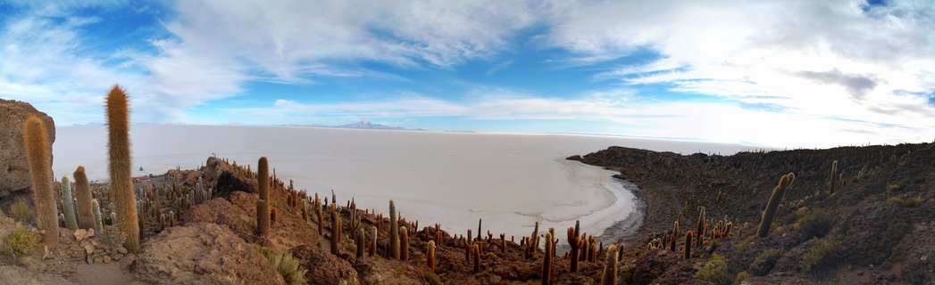 Panoramic view from Isla Incahuasi showing numerous tall columnar cacti on rocky terrain overlooking the vast white Salar de Uyuni salt flat under a blue sky with scattered clouds