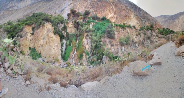Rocky canyon cliff with green vegetation and a thin waterfall, viewed from a dirt hiking trail with cacti and boulders in the foreground