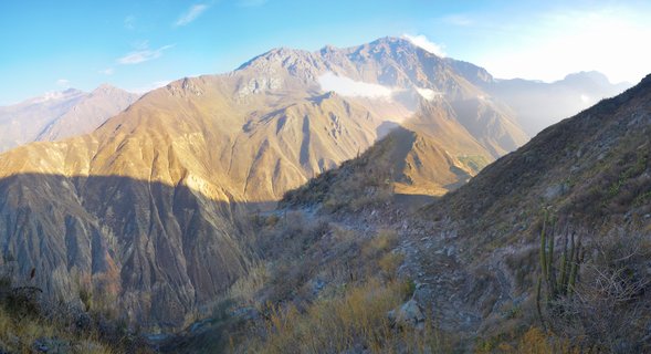 Aerial view of Colca Canyon in Peru showing golden-lit mountain peaks, deep shadowed valleys, columnar cacti in the foreground, and blue sky with wispy clouds at sunrise