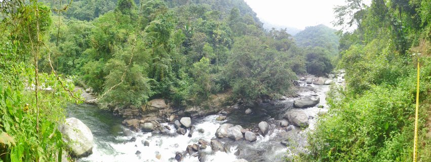 A river with whitewater rapids flowing over large gray boulders through dense green tropical rainforest with hills in the background