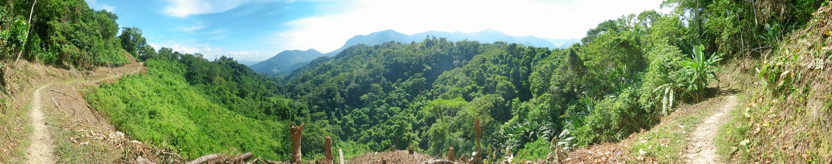Panoramic landscape showing dirt hiking trails winding through dense green tropical forest in Colombian mountains with blue sky and distant mountain peaks