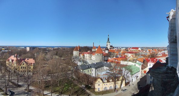 Panoramic aerial view of Tallinn Old Town showing medieval stone towers with conical red roofs, orange-tiled buildings, a church spire, bare trees in a park, and the Baltic Sea in the distance under a clear blue sky