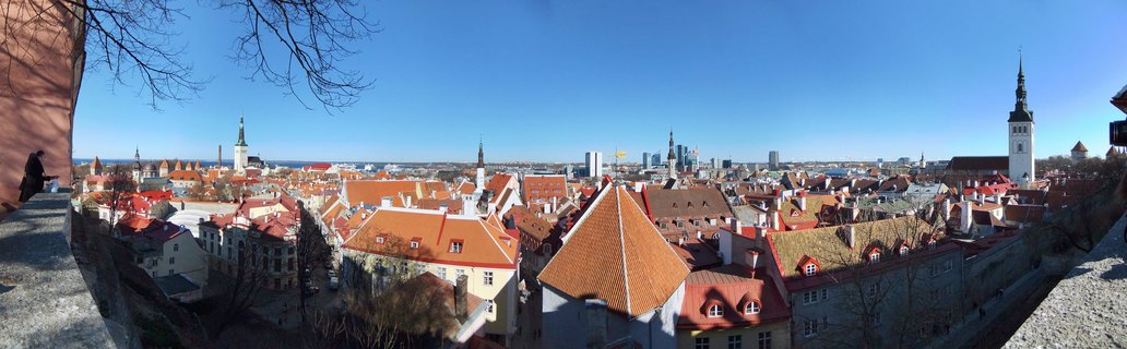 Panoramic cityscape of Tallinn Old Town showing medieval buildings with orange-red tiled roofs, multiple church spires, stone walls, and clear blue sky