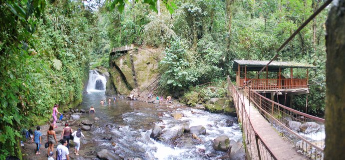 A waterfall flows into a natural swimming pool surrounded by dense green jungle vegetation, with people swimming and standing in the water, a wooden suspension bridge with viewing platform on the right side, and a wooden staircase built into the rock face
