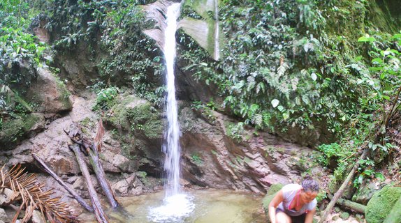 A waterfall flowing down rocky cliff face into a pool, surrounded by dense green jungle vegetation with a person visible in the lower right corner