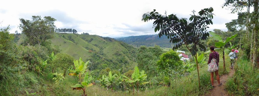 Three people hiking on a dirt trail through green mountainous landscape with rolling hills, tropical vegetation including banana plants, and cloudy sky in Colombia