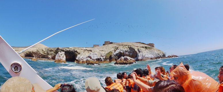Group of tourists in orange life vests on a boat approaching rocky islands with seabirds flying overhead under clear blue sky