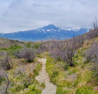 A rocky hiking trail leads through grassy hillsides with bare shrubs toward snow-covered mountain peaks under cloudy skies in Torres del Paine National Park