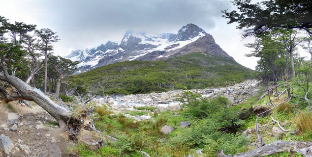 Snow-covered mountain peaks rise above green forest and a rocky river valley in Torres del Paine National Park, Chile, with a fallen tree trunk in the foreground