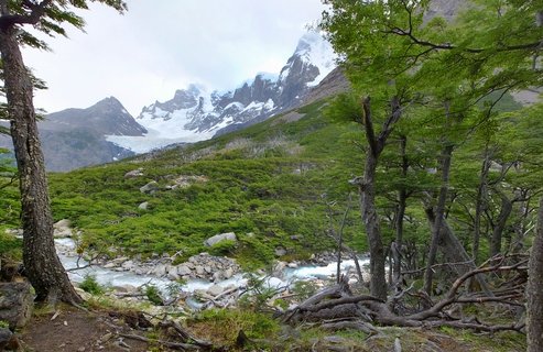 Mountain landscape showing snow-covered granite peaks with glacier, green forest slopes, and rushing river in Torres del Paine National Park, Chile