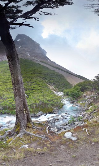 A landscape photograph showing a twisted tree trunk in the foreground with a blue-green river flowing through a valley toward a steep mountain peak covered in green vegetation under cloudy skies.