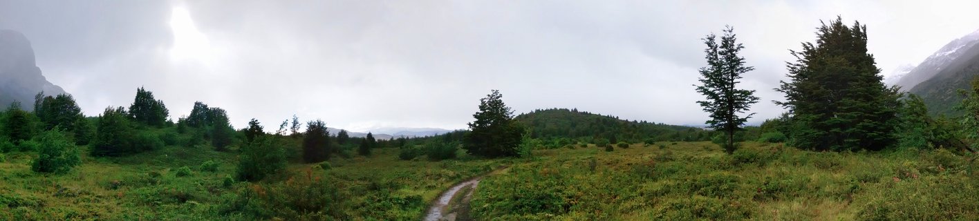A dirt path winding through green Patagonian vegetation with scattered trees and mountains visible in the distance under an overcast sky