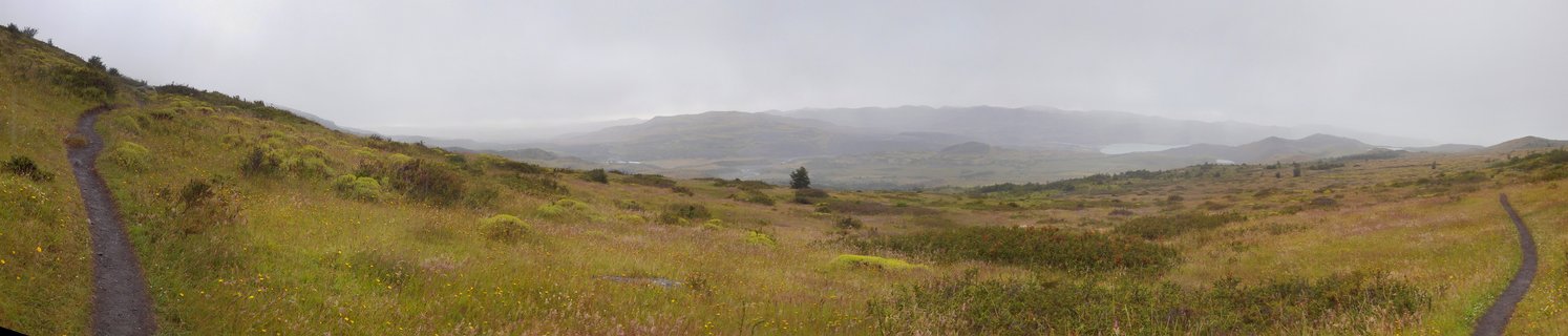 A dirt hiking trail winds through grassy Patagonian landscape with rolling hills, distant mountains, and overcast sky in Torres del Paine National Park, Chile