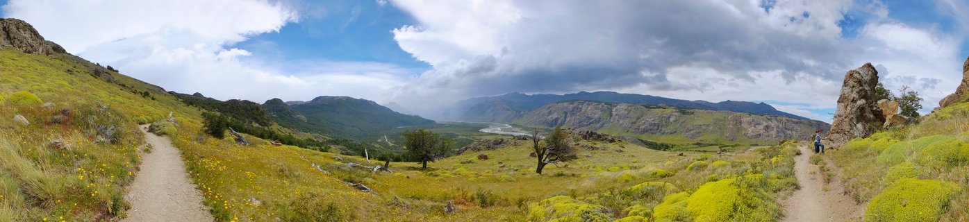 Panoramic landscape showing two dirt hiking trails through grassy Patagonian hills with yellow wildflowers, scattered trees, rocky formations, distant mountains, and cloudy sky