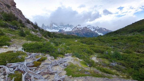 Mountain landscape showing snow-capped granite peaks of Fitz Roy massif rising above a green valley with low vegetation and fallen tree branches in the foreground under cloudy skies in El Chalten, Argentina.