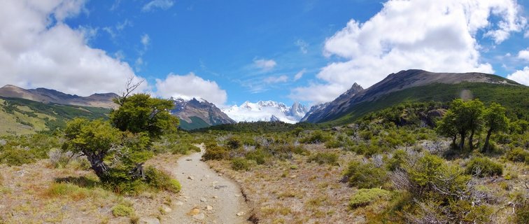 A dirt hiking trail leads through green Patagonian vegetation toward snow-capped mountain peaks including Mount Fitz Roy under a blue sky with white clouds in El Chaltén, Argentina.