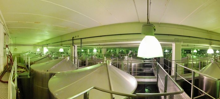 Interior view of a winery showing multiple large stainless steel conical fermentation tanks arranged in rows with metal railings and walkways under artificial pendant lighting