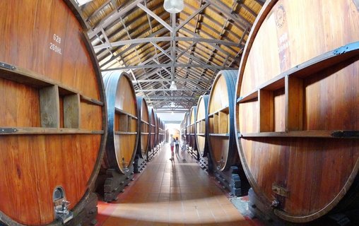 Long corridor wine cellar with large wooden barrels on both sides, exposed beam ceiling, and three people walking in the distance toward natural light at the far end