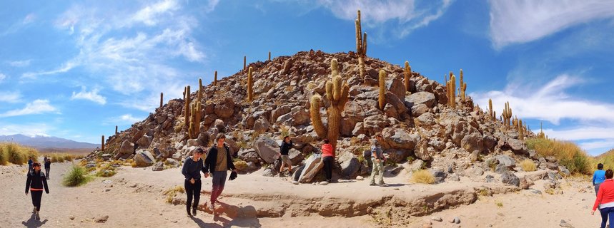 Rocky hill covered with tall columnar cacti under blue sky with tourists walking on dirt path in desert landscape