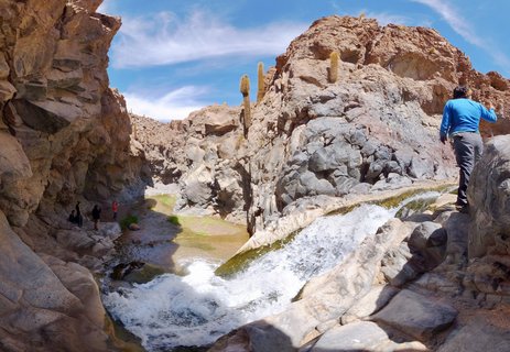 Waterfall cascading over rocks in a desert canyon with tall cacti growing on cliff walls and people exploring the area under blue sky