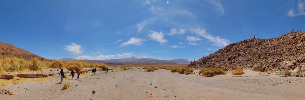 Group of people hiking through desert valley with rocky hills, cacti, golden grasses, and distant snow-capped mountains under blue sky in San Pedro de Atacama, Chile