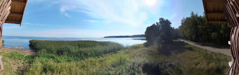 Wide landscape view of Curonian Lagoon showing calm blue water, green reed beds in foreground, tree line along right side, wooden viewing structure edges, clear sky with light clouds