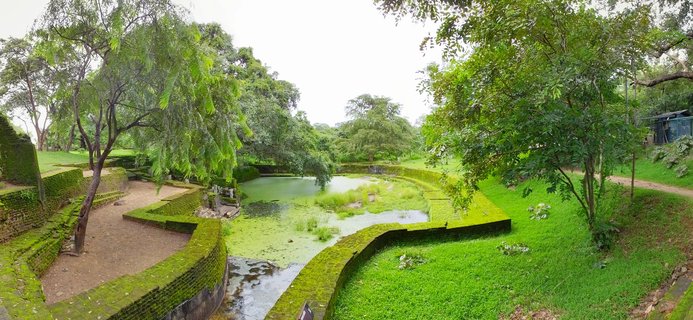 Ancient moss-covered brick ruins surrounding a green algae-covered pond with tropical trees at Polonnaruwa archaeological site in Sri Lanka