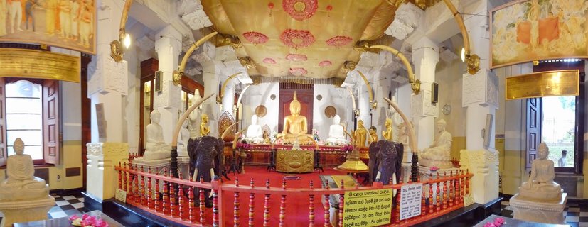 Interior view of a Buddhist temple shrine room with a golden Buddha statue centered on a raised platform, surrounded by white Buddha statues, carved elephants, ornate pillars, and a decorated ceiling with lotus patterns