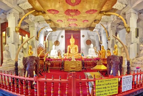 Golden Buddha statue seated in meditation at center of ornate Buddhist temple interior with white pillars, carved elephants, red carpet, and gilded ceiling in Kandy, Sri Lanka
