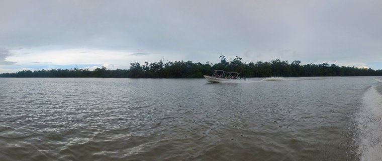 White motorboat with metal canopy frame moving across brown river water, creating wake, with green forest treeline along shore and gray overcast sky above