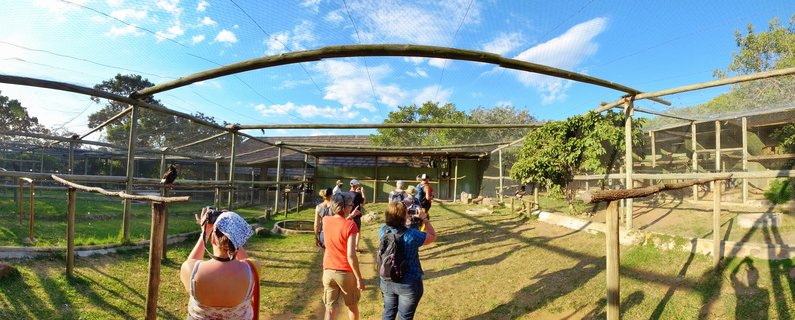 Group of tourists walking through large netted bird enclosure photographing eagles and raptors perched on wooden stands at wildlife sanctuary