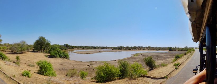 Panoramic landscape photograph taken from safari vehicle showing watering hole surrounded by dry grassland and green shrubs under blue sky in Kruger National Park