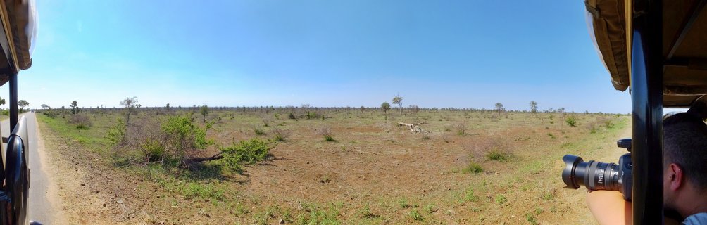 Photographer with telephoto camera lens leaning from safari vehicle overlooking African savanna landscape with scattered trees under blue sky in Kruger National Park