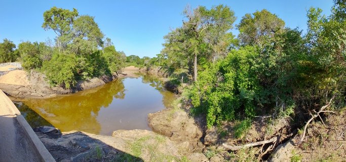 A muddy brown river flows through dense green trees and bushveld vegetation under a clear blue sky in Kruger National Park, South Africa, viewed from an elevated concrete structure.