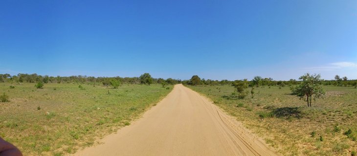 Dirt road stretching through grassy savanna with scattered trees under blue sky in Kruger National Park