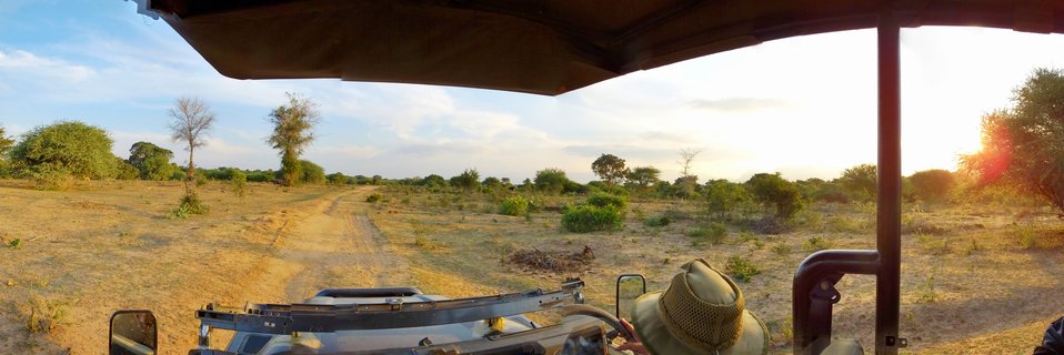 View from inside a safari vehicle showing a dirt road through African savanna landscape with scattered trees and bushes under a partly cloudy sky at sunset