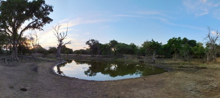 A panoramic view of a waterhole in Kruger National Park showing reflections of trees and sky, with large trees on the left and dry savanna landscape surrounding the water