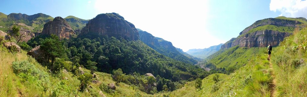 Mountain landscape showing a hiker on a grassy trail with rocky Drakensberg cliffs, forest-covered valley, and blue sky in South Africa